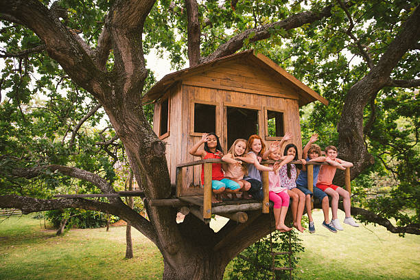 Image média: Cabane à lire suspendue dans les arbres