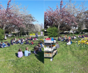 image budget participatif.png